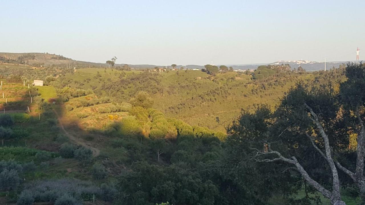 Quinta Do Caneiro - Casa Turismo Rural Constância Exterior foto