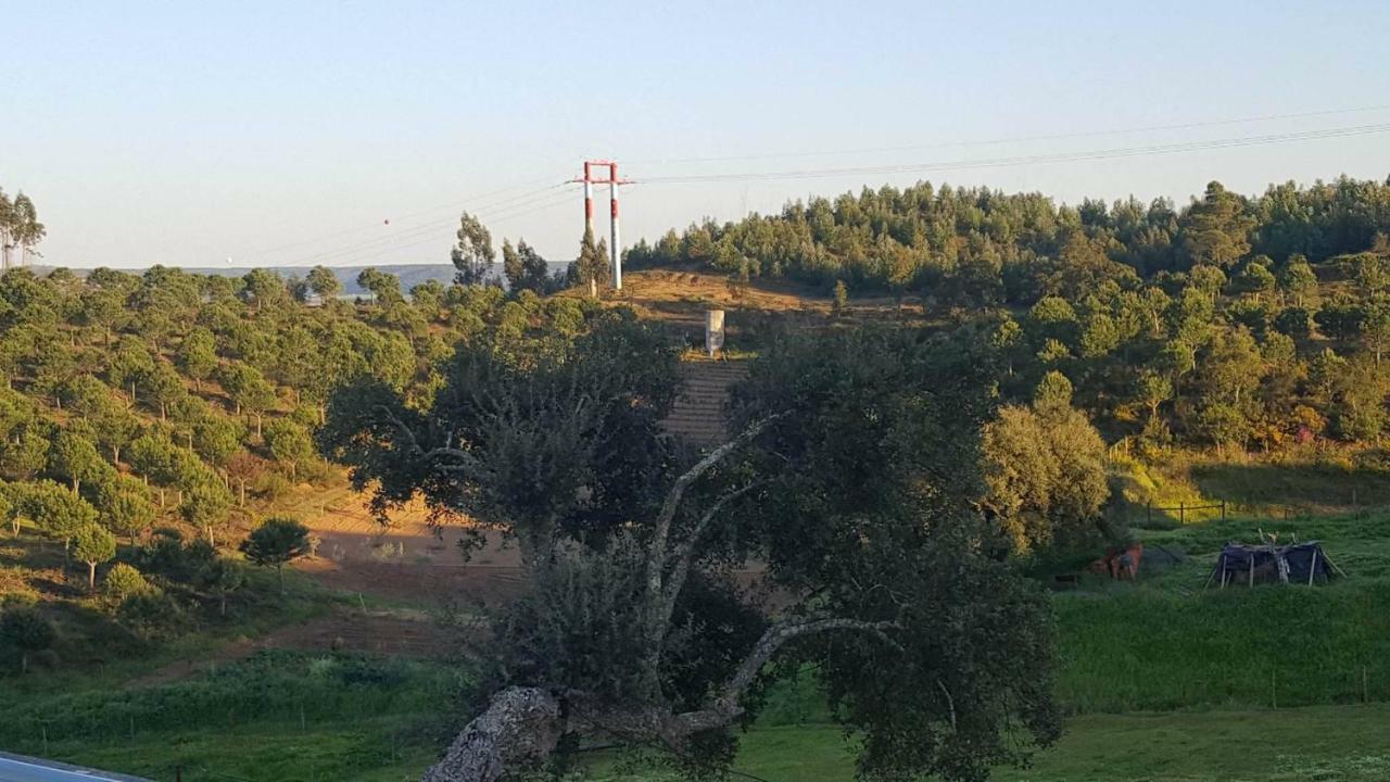 Quinta Do Caneiro - Casa Turismo Rural Constância Exterior foto